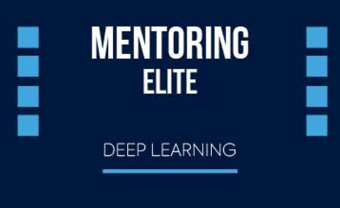 mentoring elite