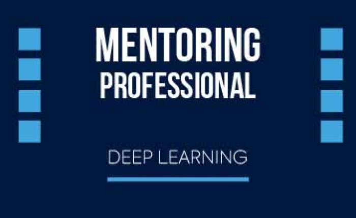 mentoring pro